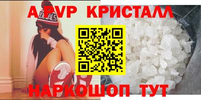 дмт Кингисепп