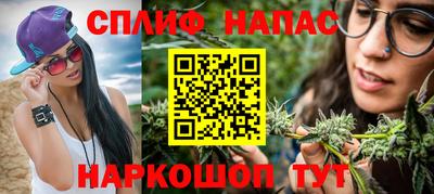 дмт Кингисепп