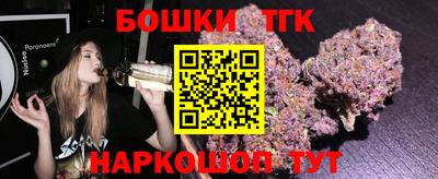 дмт Кингисепп
