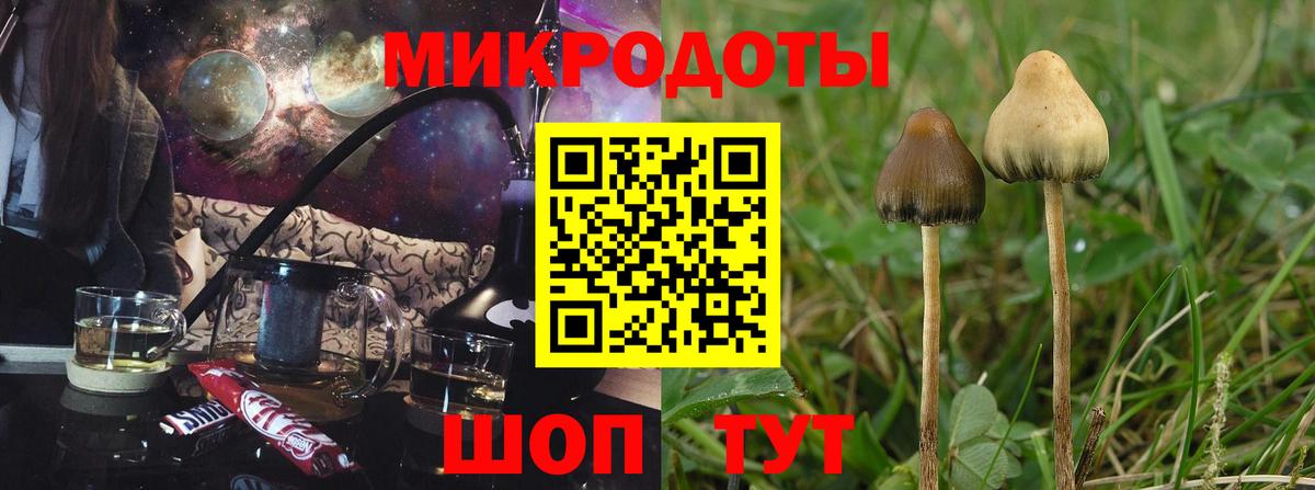 Галлюциногенные грибы прущие грибы Карпинск
